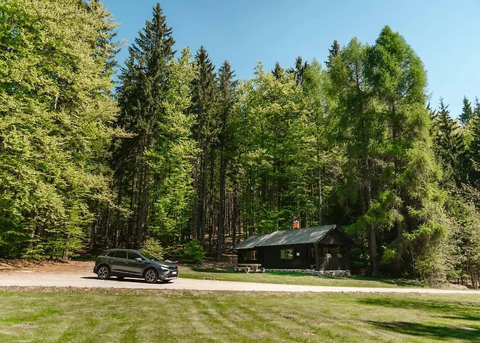 Lyxtält Hajenka Obrazek *