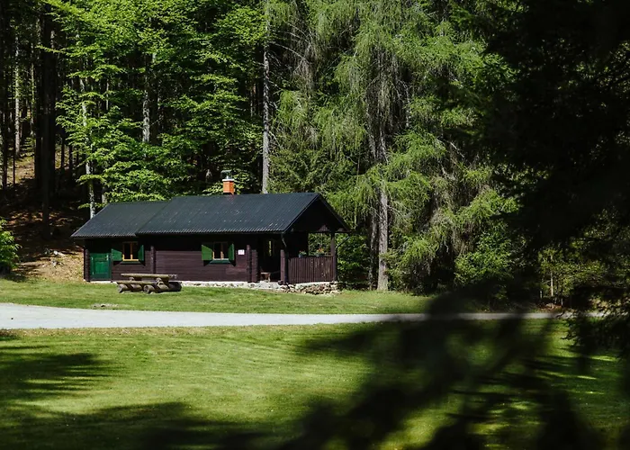 Hajenka Obrazek Volary